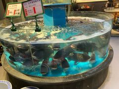 -魏铭鱼头捞饭(晋阳路店)