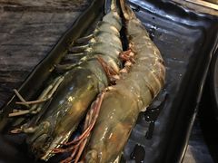 -熊出没日本烧肉放题