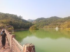 -广州白江湖森林公园