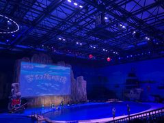 -华夏文旅海洋公园