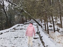 -阳台山自然风景区