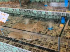 -双海潮·海鲜融合菜(如是海店)