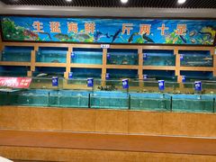 水产区-香顺·客家菜(常平店)