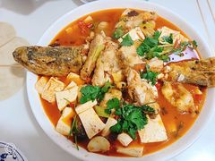 -煲来饱去冷水鱼