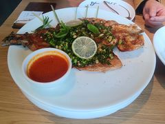 -一坐一忘云南菜(三里屯店)