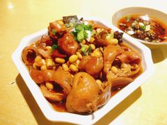 红烧肥肠-张豆花(碚峡路店)