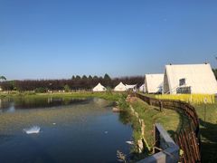 -上海都市菜园