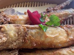 -煎饼卷大葱·非遗传承·潍坊菜(十笏园店)