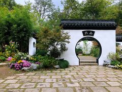 -上海共青森林公园