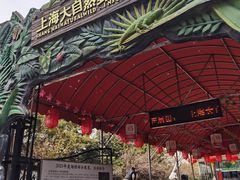 -上海大自然野生昆虫馆(东方明珠·爬宠昆虫探索中心)