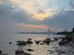 -深圳湾公园(南山区)