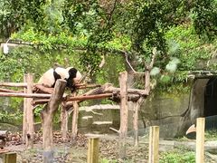 -重庆动物园·东二门售票处