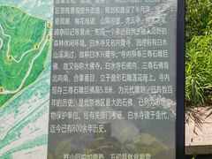 -白水寺森林公园