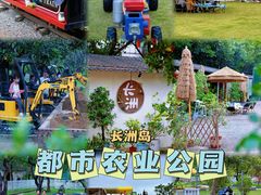 -长洲岛都市农业公园