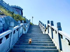 -明记海鲜大排档(巽寮湾店)