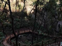 -大岭沟猕猴桃谷风景区