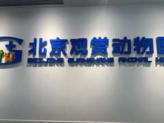 -北京观赏动物医院·24小时大型综合·猫专科·异宠专科