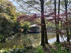 -上海滨江森林公园