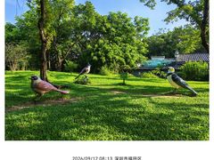 -深圳湾公园(南山区)