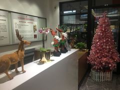 -宁波杉井奥特莱斯广场