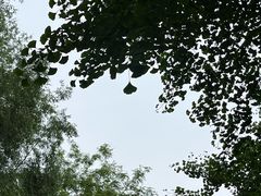 -长白岛森林公园