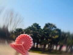 -祥源·阜阳生态乐园