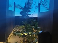 -大头椰·椰子鸡火锅(南宁万象城店)