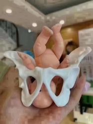-蓓爱娇琪月子会所(虹口店)