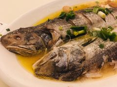 -常州逸高酒店-中餐厅