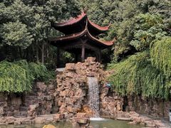 -同庆楼(滨湖万达广场店)