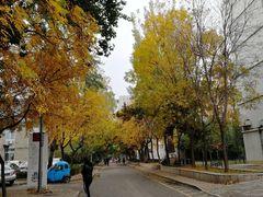 -中央民族大学