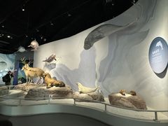 -中国湿地博物馆