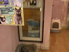 -联合动物医院(光谷诊疗中心)