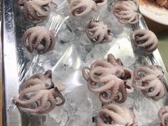 冰镇八爪鱼-肥姐美食(同福中路店)