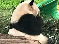 -西安秦岭野生动物园