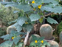 -国家植物园南园