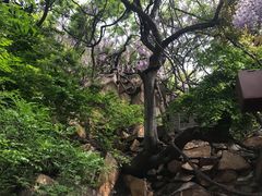 -龙口南山旅游景区