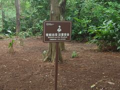 -深圳湾公园(南山区)