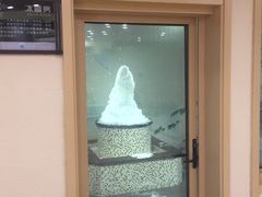 -汤里来温泉