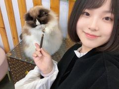 -青奢宠物·青奢猫舍