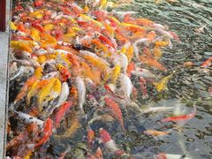 -番禺宾馆丽苑厅