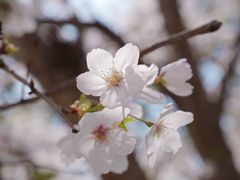 -龙美术馆(西岸馆)