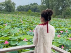 -羊亭河湿地公园