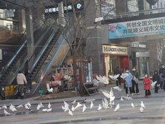 -中粮·祥云小镇