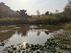 -渭南桃花源民俗文化园