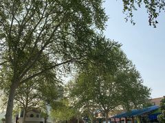 景点-洛阳市牡丹公园
