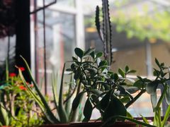 -伊隆斋(什刹海店)