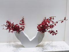 -上海辰山植物园