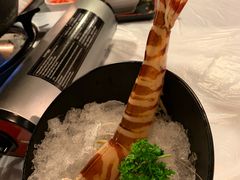 -鲜入围煮花胶鸡海鲜火锅