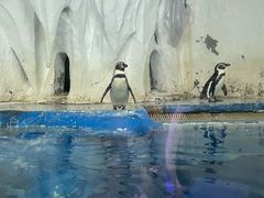 -太平洋海底世界